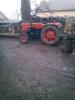 SUCEAVA tractor u 445 romănesc